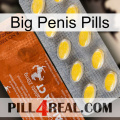 Big Penis Pills 42